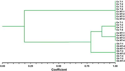 Identifying Chloris Species from Cuban Citrus Orchards and Determining Their Glyphosate-Resistance Status